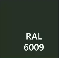 RAL6009